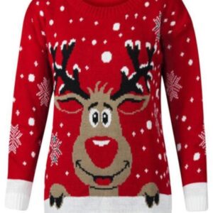 Ladies Jumper